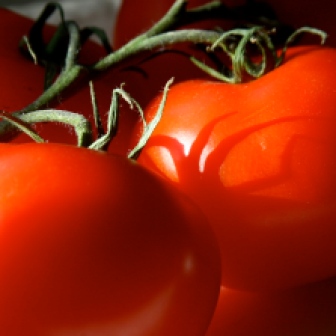 Local_tomatoes